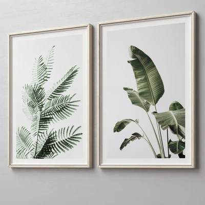 Picture Frames Set -320 — Ver 4