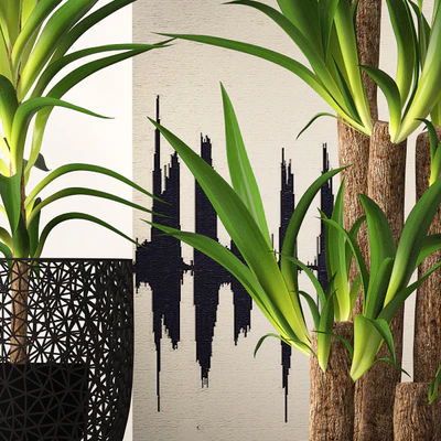 Houseplant set — Вид 2