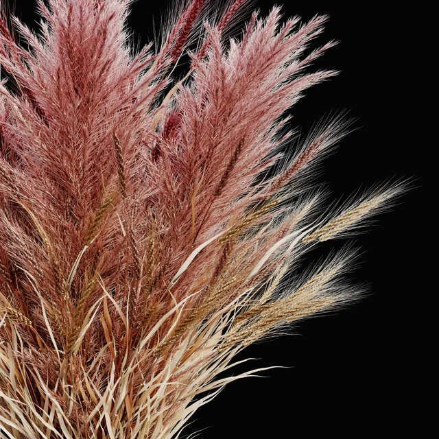 Pampas bouquet flower 02 — Скачать