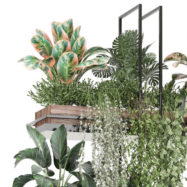 indoor plants in metal box 1580 — Descargar