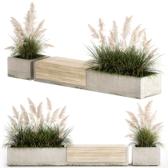 Bench flowerbed for the urban environment in a concrete flowerpot with bushes of reeds and pampas grass, Cortaderia. 1144. — Descargar
