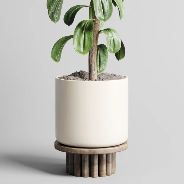 Indoor outdoor plant 106 wood vase pot ficus rubbery — Descargar