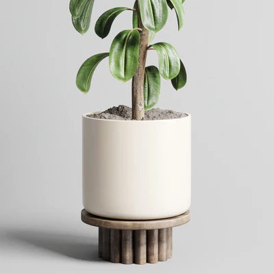 Indoor outdoor plant 106 wood vase pot ficus rubbery — Ver 4