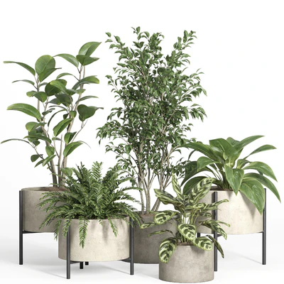 indoor plant set 52-concrete and metal pot — Вид 1