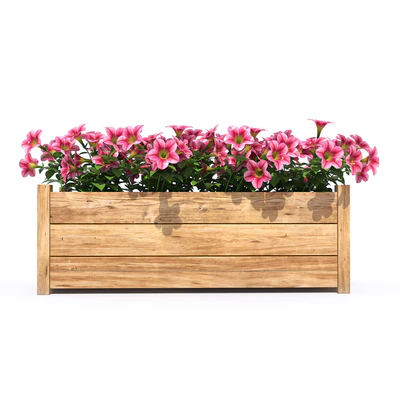 Petunia — Вид 3