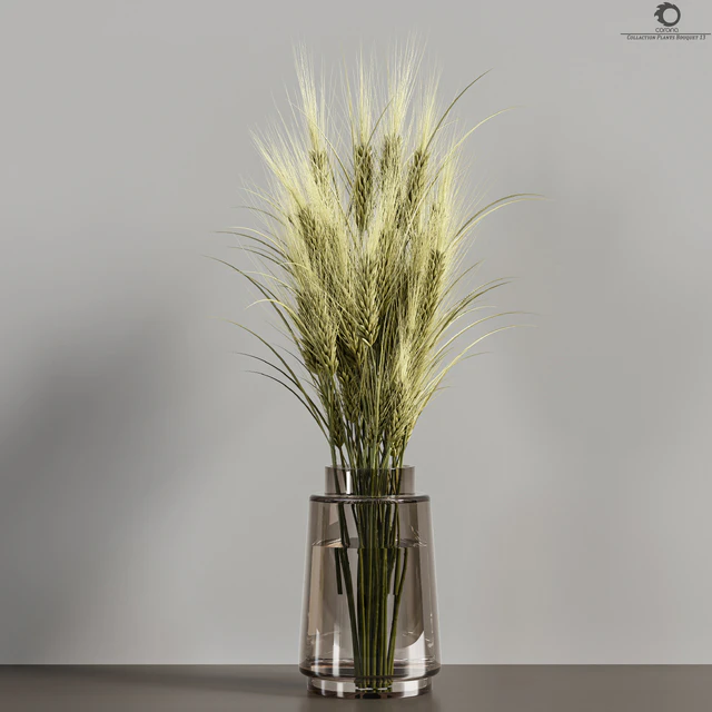 Collaction Plants Bouquet 13(corona) — Download