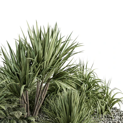 Needle tree and Bush - Outdoor Garden Set 305 — Ver 3