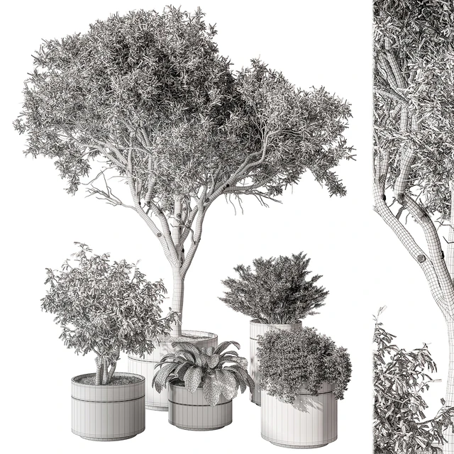 indoor Plant Set 439 (Corona) — Descargar