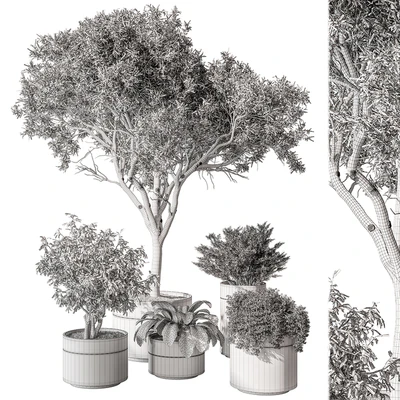 indoor Plant Set 439 (Corona) — Ver 2