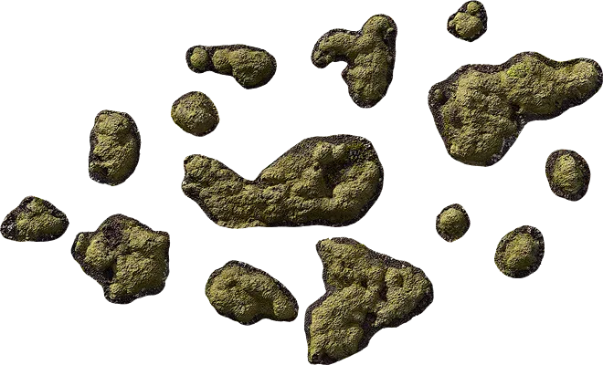 icelandic moss clusters 001 — Descargar