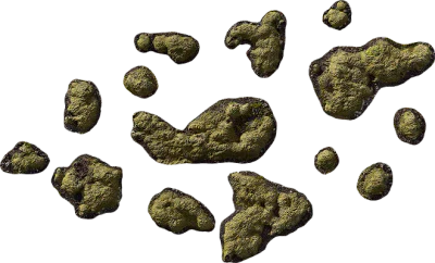 icelandic moss clusters 001 — Descargar