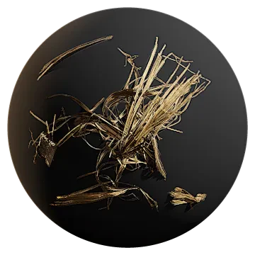jungle debris pile 002 — Descargar