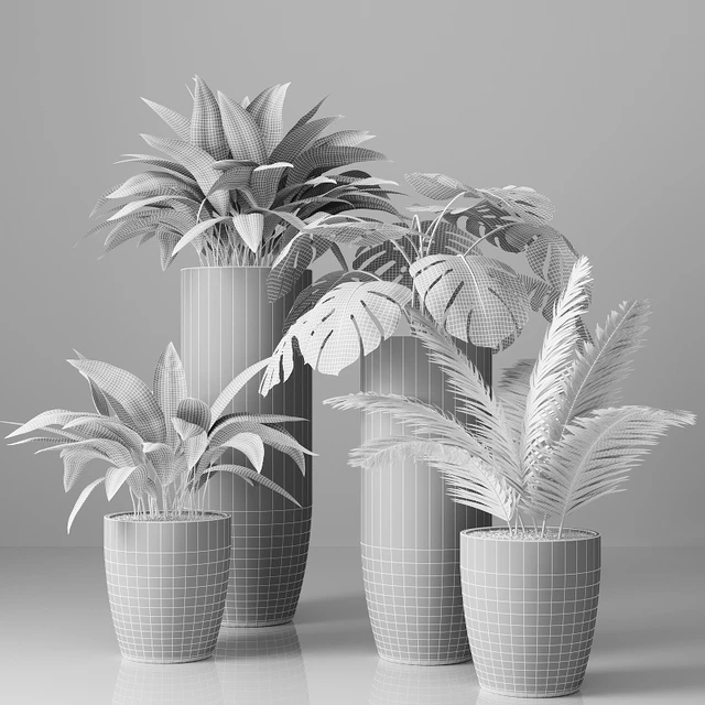 Collection of indoor plants 01 — Descargar