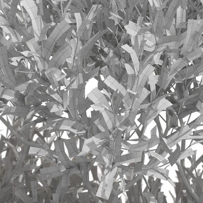 Plants collection 723 — Вид 3
