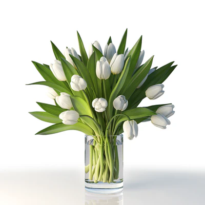 Tulips — Ver 1