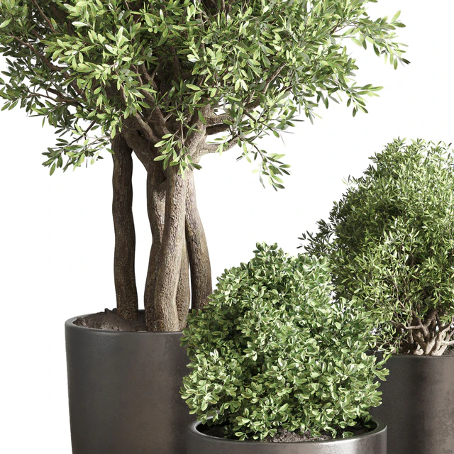 collection Indoor outdoor plant 122 pot tree plant bush dirty concrete vase pot — Descargar