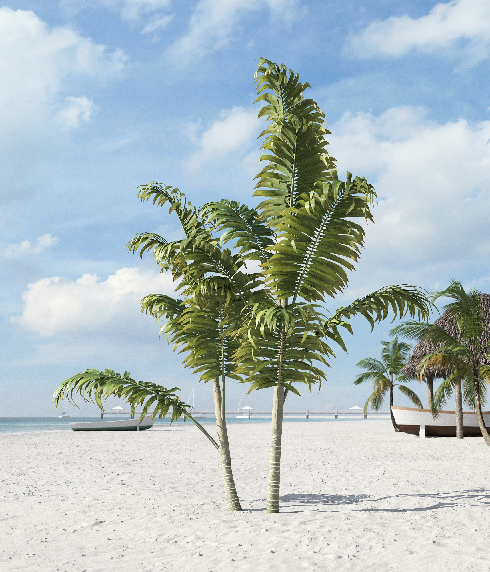 palm trees 032 — Скачать