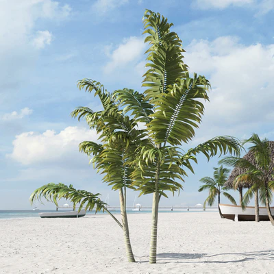 palm trees 032 — Скачать