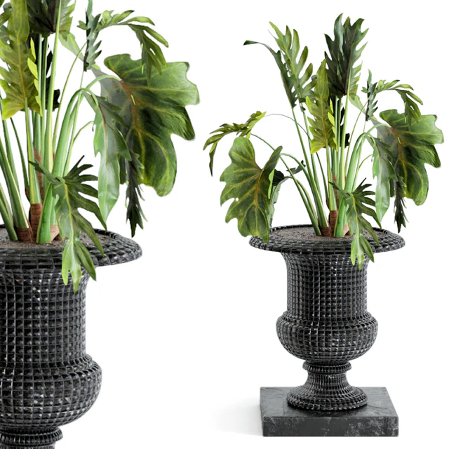 Outdoor Plants bush and Tree in rusty Concrete Pot - Set 26 — Descargar