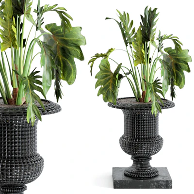 Outdoor Plants bush and Tree in rusty Concrete Pot - Set 26 — Ver 3