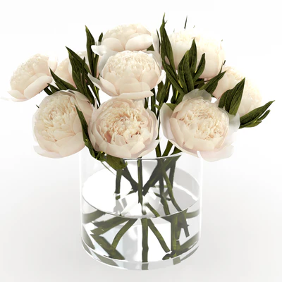 Bouquet of peonies — Ver 5