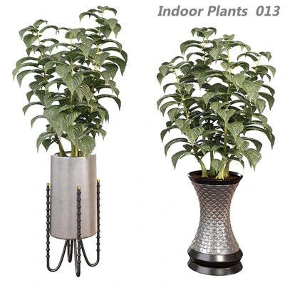 Indoor plants in a pot 013 — Ver 1