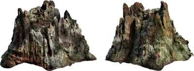 dead tree stump 001 — Descargar