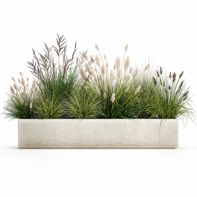 Collection of plants in a pot with pampas grass, reeds, flowerbed, bushes, landscaping. Set 1076. — Descargar