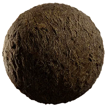 moist dried grass 002 — Descargar