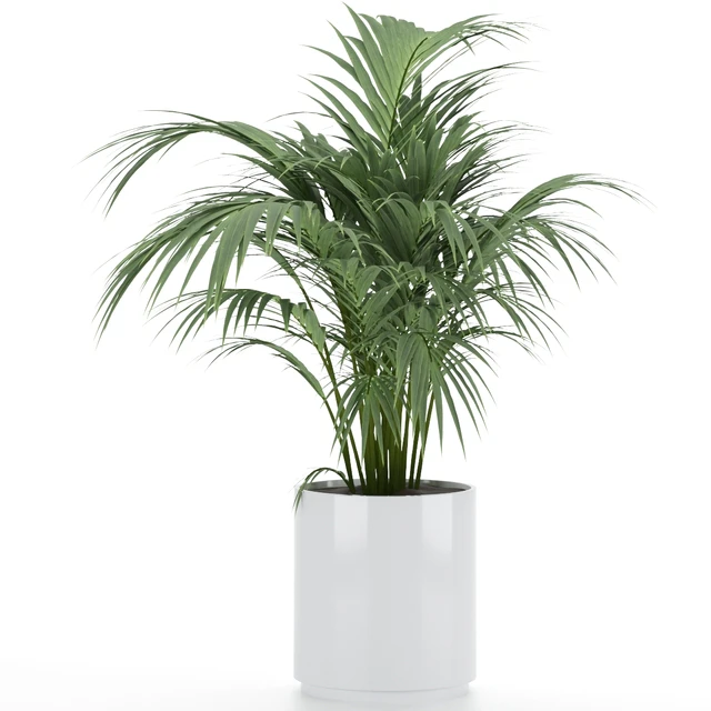 Plant-Set-001 — Descargar