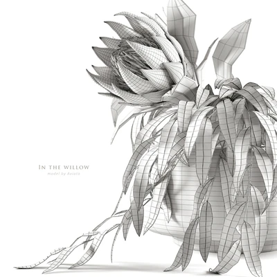 In the willow — Вид 5