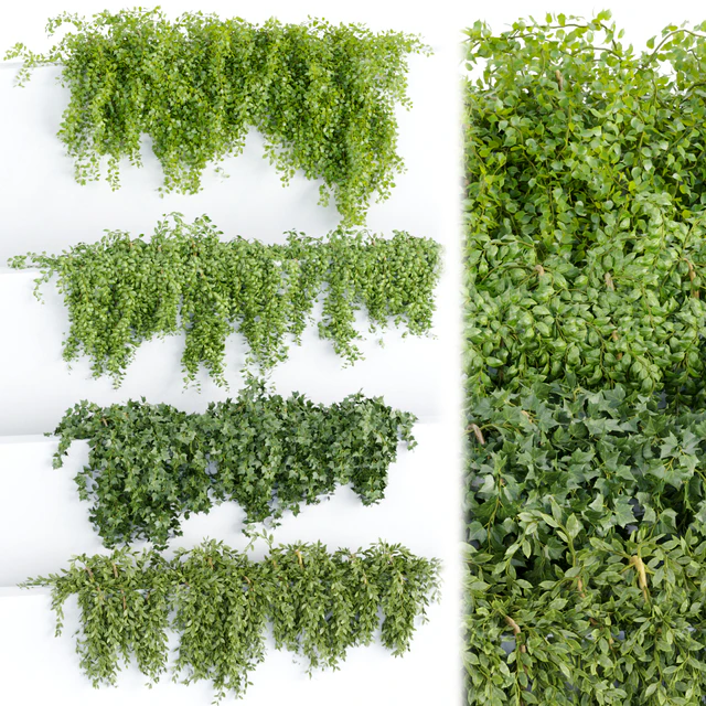 Hanging wall plants collection vol 64 — Скачать