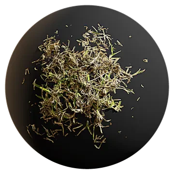buffalo grass 004 — Скачать