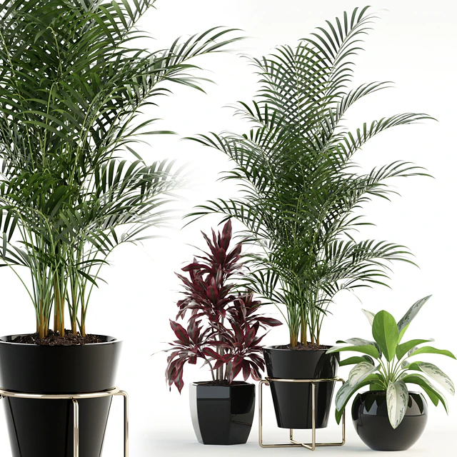 Plants collection 89 — Скачать