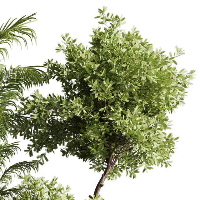 indoor plant set 57 — Скачать