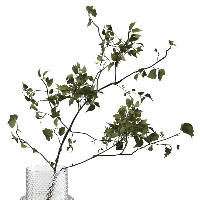 Two cups of cappuccino on a tray — Descargar