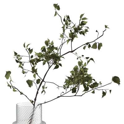 Two cups of cappuccino on a tray — Ver 2