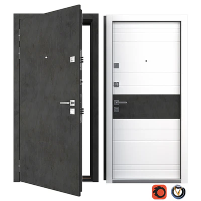 Entrance metal door Carbon (Your Frame) — Ver 1