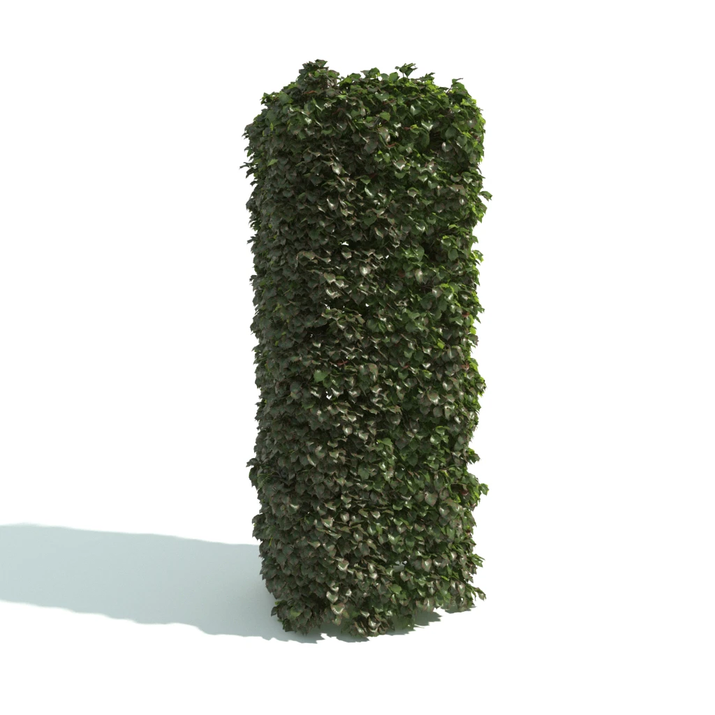 hedges 006 — Descargar