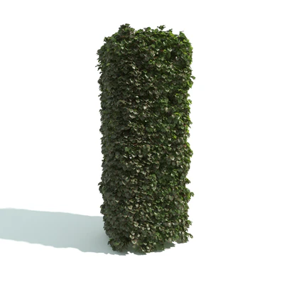 hedges 006 — Descargar