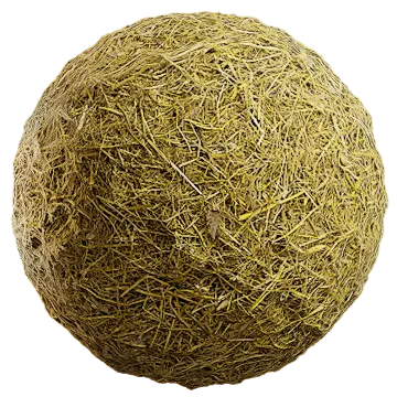 grass dried 073 — Descargar