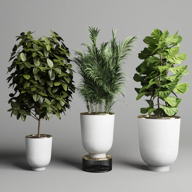 collection Indoor plant 35 -concrete vase — Скачать