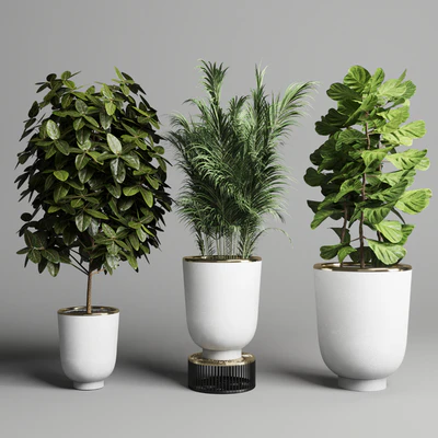 collection Indoor plant 35 -concrete vase — Вид 4