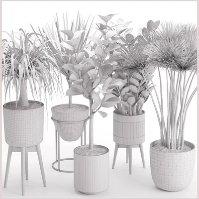 Houseplant 29 — Ver 3