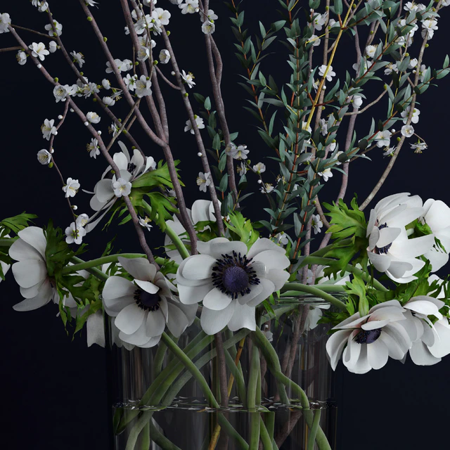 Anemones and branches — Descargar