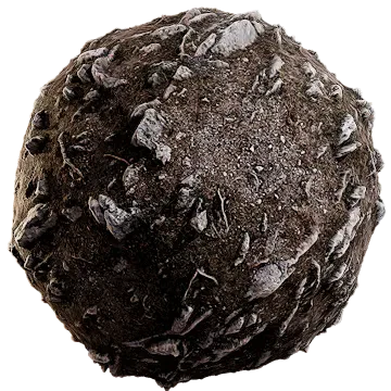rocky forest floor 007 — Descargar