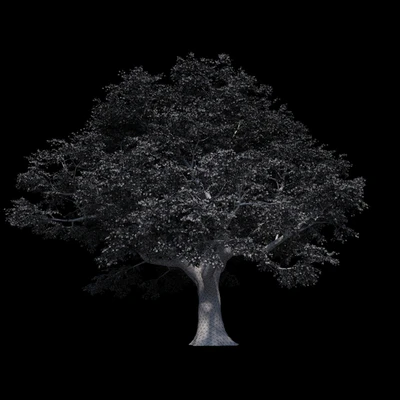 Beech great Razlog — Ver 3