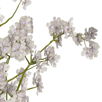 decorative set 25 — Ver 4