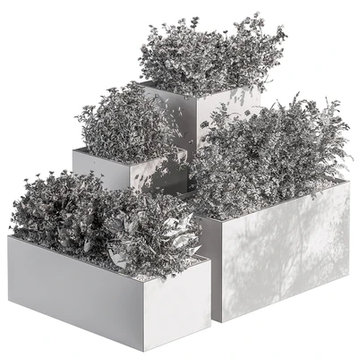 Plant Box - Outdoor Plants Flowers 534 — Вид 4