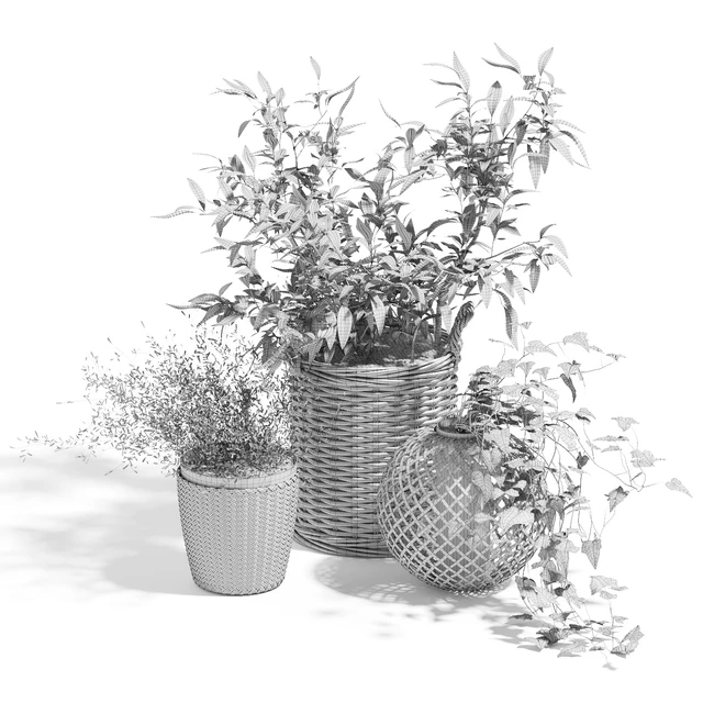 Green set — Скачать